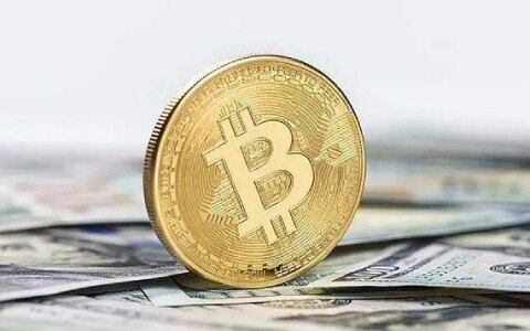 李晨比特币5个亿爆仓怎么翻身_李晨比特币爆仓真相-第1张图片-币安app下载
