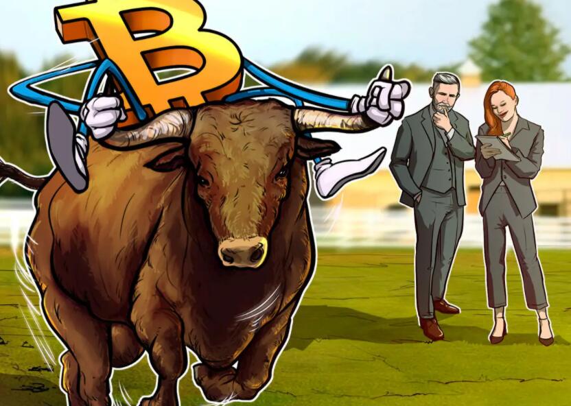 比特币不参与大牛市是最大的风险