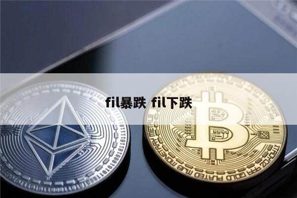 fil币为什么一直暴跌 为什么这么多人坚信FIL会飙升-第1张图片-币安app下载