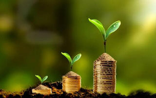 金色午报 | 1月15日午间重要动态一览