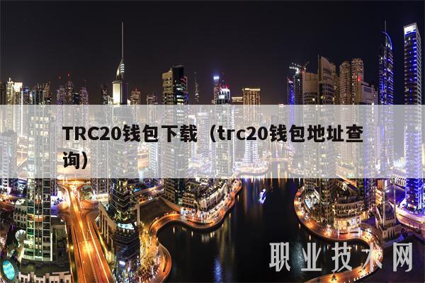 TRC20钱包下载（trc20钱包地址查询）-第1张图片-币安app下载