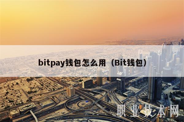 bitpay钱包怎么用（Bit钱包）-第1张图片-币安app官方下载最新版