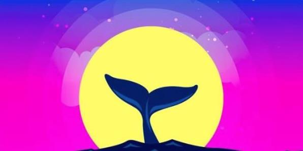 比特币交易投资软件榜单 数字货币交易所app盘点-第1张图片-币安app下载