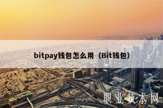 bitpay钱包怎么用（Bit钱包）_ok交易所
