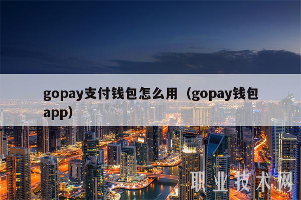 gopay支付钱包怎么用（gopay钱包app）-第1张图片-币安app官方下载最新版