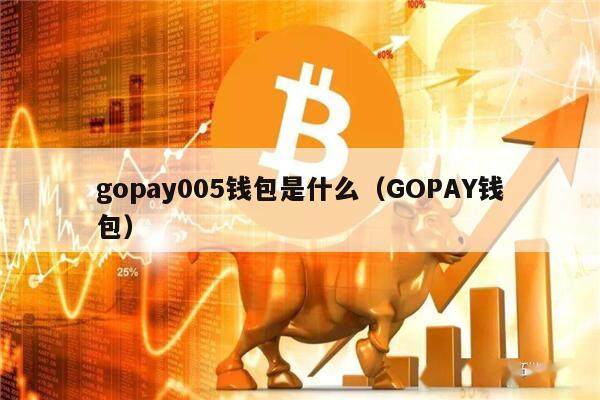 gopay005钱包是什么（GOPAY钱包）-第1张图片-币安app官方下载最新版