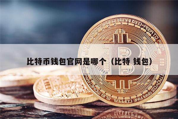 比特币钱包官网是哪个（比特 钱包）-第1张图片-币安app官方下载最新版