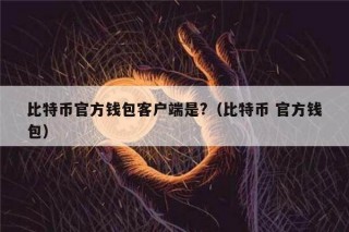 比特币官方钱包客户端是?（比特币 官方钱包）_ok交易所