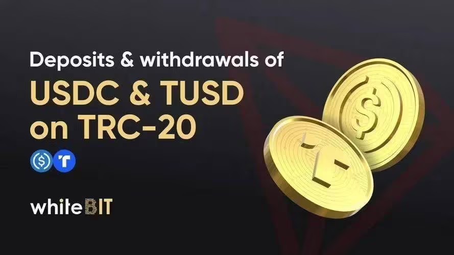 TRC20是哪个链?TRC20转ERC20地址可以到账吗?-第2张图片-币安app下载