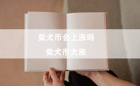 柴犬币会上涨吗（柴犬币大涨）-第1张图片-币安app下载