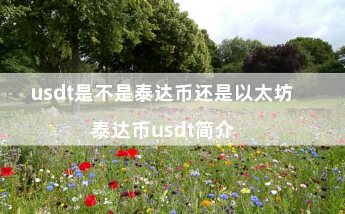 usdt是不是泰达币还是以太坊（泰达币usdt简介）-第1张图片-币安app下载