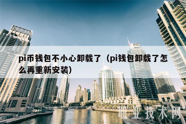 pi币钱包不小心卸载了（pi钱包卸载了怎么再重新安装）-第1张图片-币安app下载
