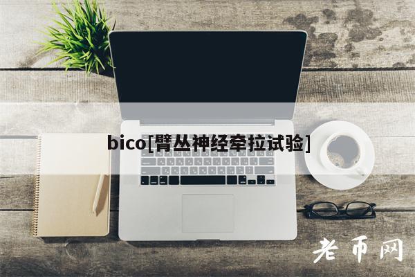 bico[臂丛神经牵拉试验]-第1张图片-币安app下载