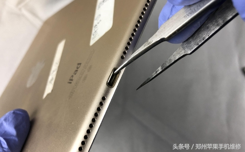 ipad不能充电（ipad闲置太久充不了电）-第5张图片-币安app下载