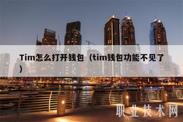 Tim怎么打开钱包（tim钱包功能不见了）-第1张图片-币安app下载