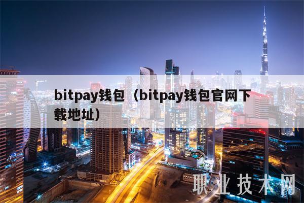 bitpay钱包（bitpay钱包官网下载地址）-第1张图片-币安app下载