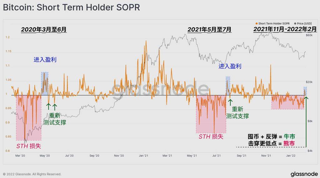 抄底情绪弥漫？新鲸鱼存44612枚BTC 成第14大持有量钱包-第4张图片-币安app官方下载最新版