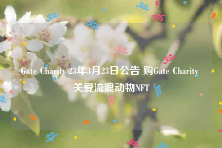 Gate Charity 23年3月23日公告 购Gate Charity 关爱流浪动物NFT-第1张图片-币安app下载