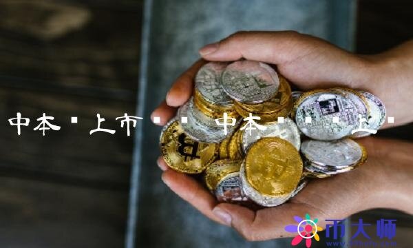 中本聪上市时间-第1张图片-币安app下载