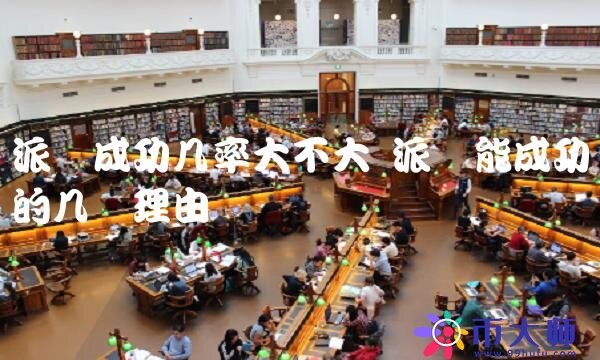 派币能成功的几个理由-第1张图片-币安app下载