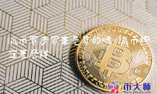 派币买房买车是真的吗-第1张图片-币安app下载