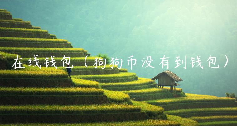 在线钱包（狗狗币没有到钱包）-第1张图片-币安app下载