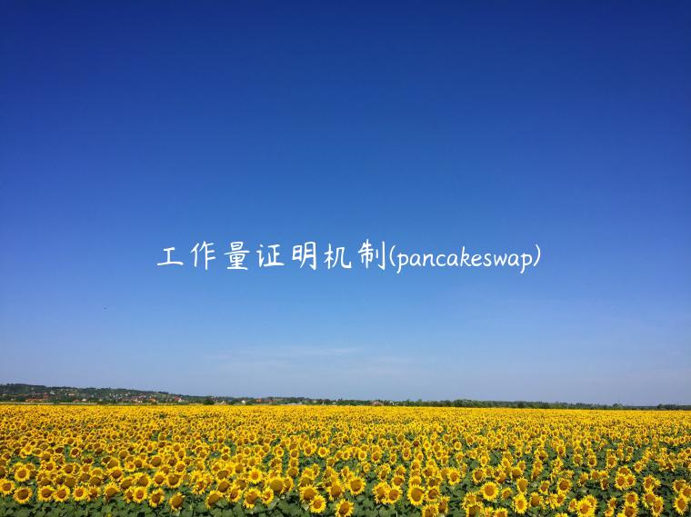 工作量证明机制 - pancakswap-第1张图片-币安app下载