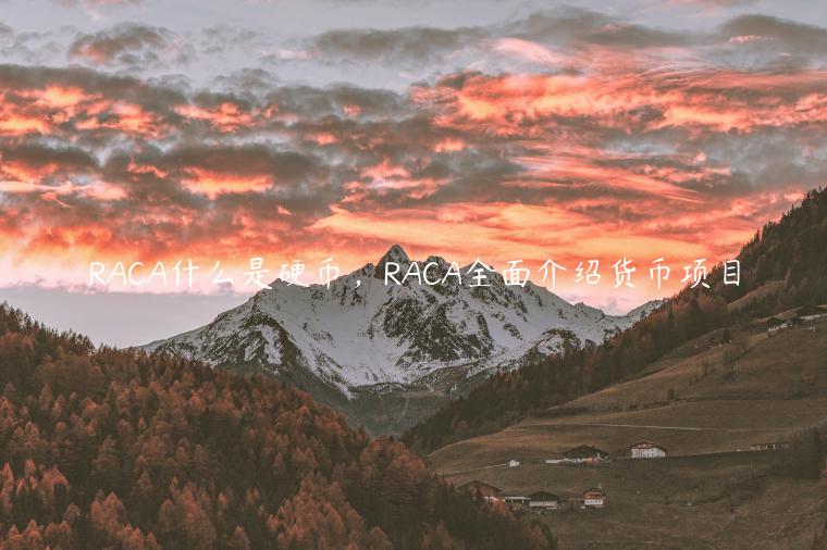 RACA什么是硬币，RACA全面介绍货币项目-第1张图片-币安app下载