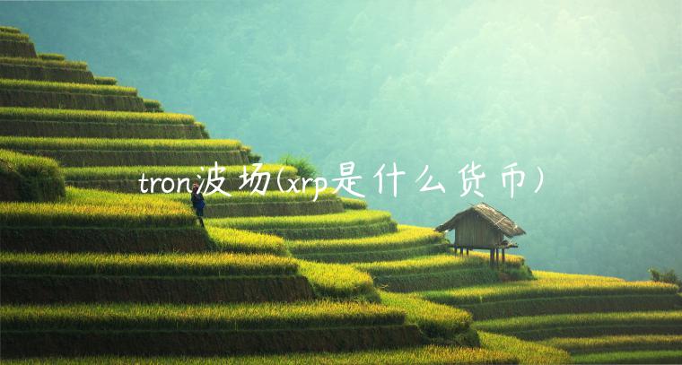 tron波场 - rp是什么货币-第1张图片-币安app下载