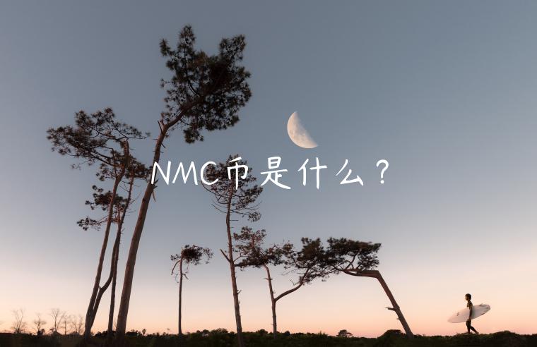 NMC币是什么？-第1张图片-币安app下载