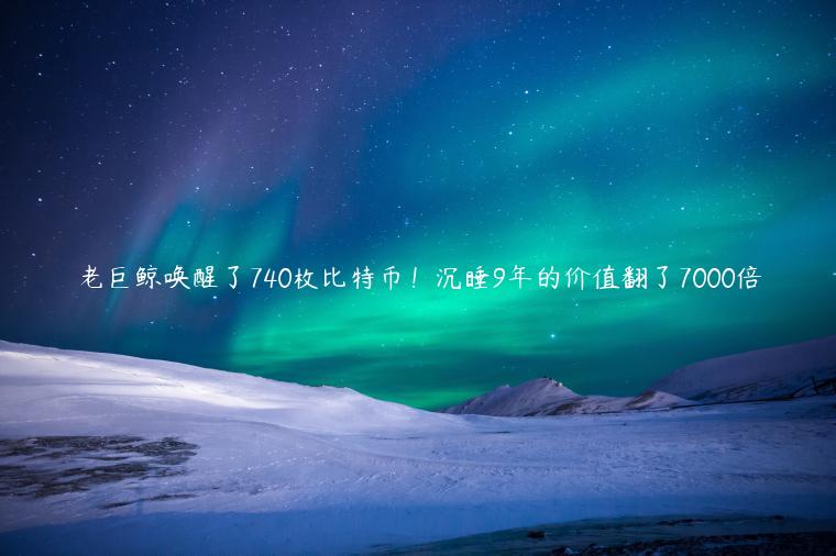 老巨鲸唤醒了740枚比特币！沉睡9年的价值翻了7000倍-第1张图片-币安app下载