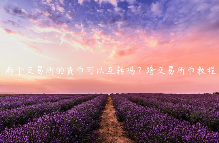 两个交易所的货币可以互转吗？跨交易所币教程-第1张图片-币安app下载