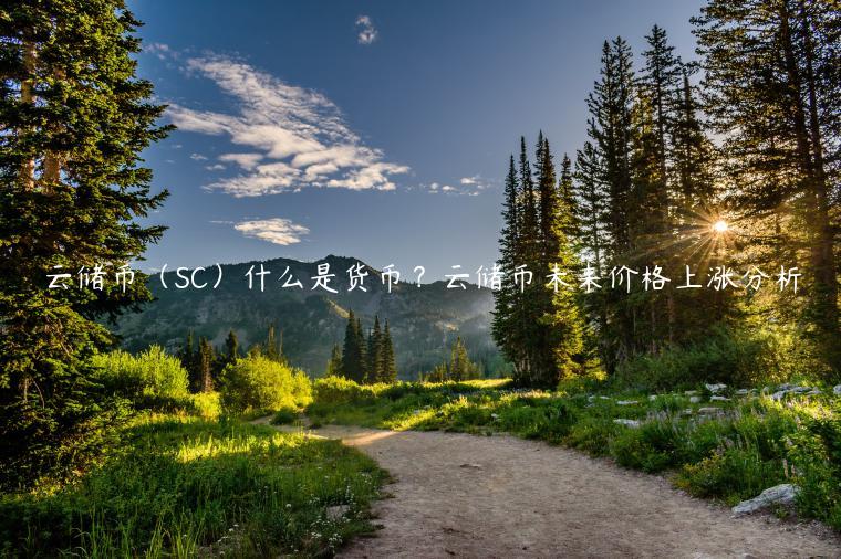 云储币（SC）什么是货币？云储币未来价格上涨分析-第1张图片-币安app下载