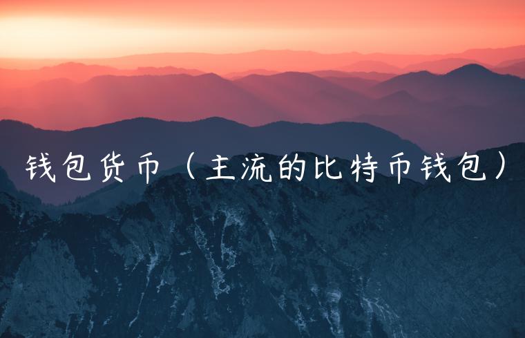 钱包货币（主流的比特币钱包）-第1张图片-币安app下载
