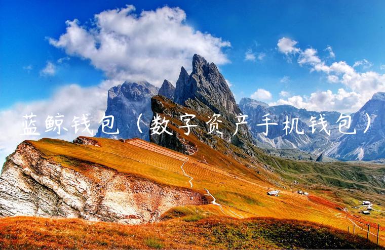 蓝鲸钱包（数字资产手机钱包）-第1张图片-币安app下载