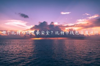 哪个比特币钱包最安全？比特币钱包深度评价