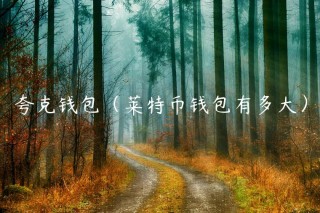 夸克钱包（莱特币钱包有多大）