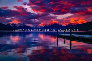 nagaIBM产业布局物流配送管理工作，40dog是甚么外币