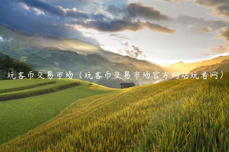 玩客币交易市场（玩客币交易市场官方网站玩者网）-第1张图片-币安app下载