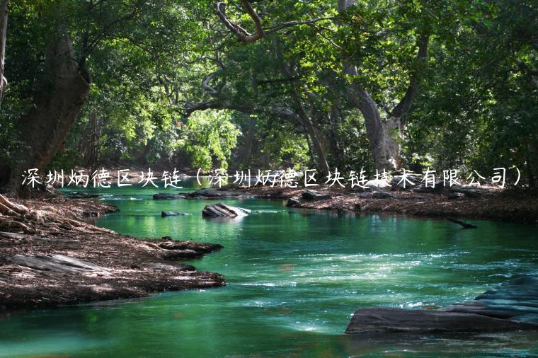 深圳炳德区块链（深圳炳德区块链技术有限公司）-第1张图片-币安app下载