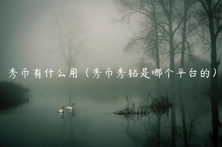秀币有什么用（秀币秀钻是哪个平台的）-第1张图片-币安app下载