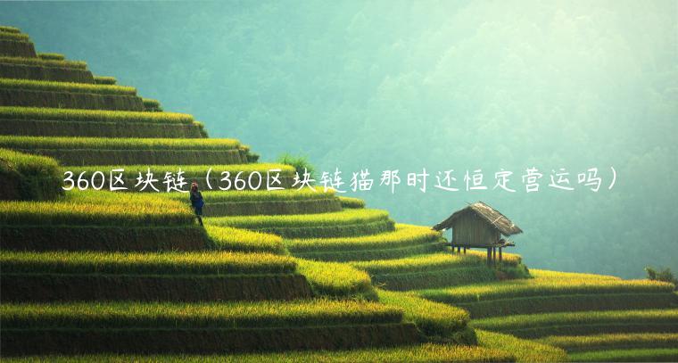 360区块链（360区块链猫那时还恒定营运吗）-第1张图片-币安app下载
