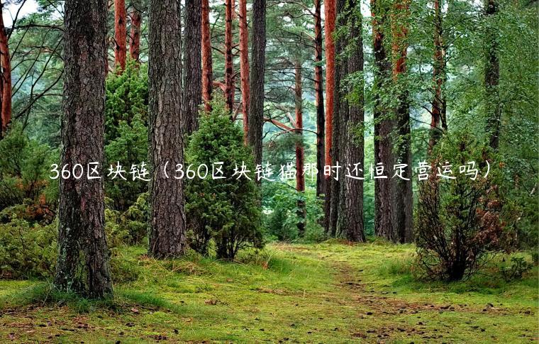 360区块链（360区块链猫那时还恒定营运吗）-第1张图片-币安app下载