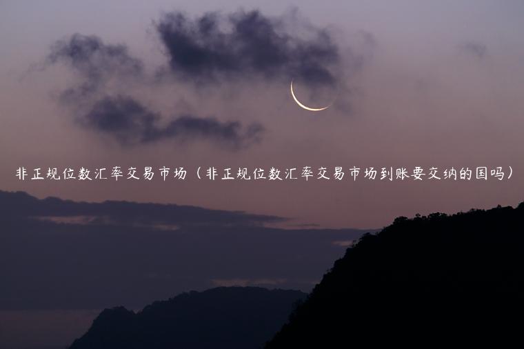 非正规位数汇率交易市场（非正规位数汇率交易市场到账要交纳的国吗）-第1张图片-币安app下载