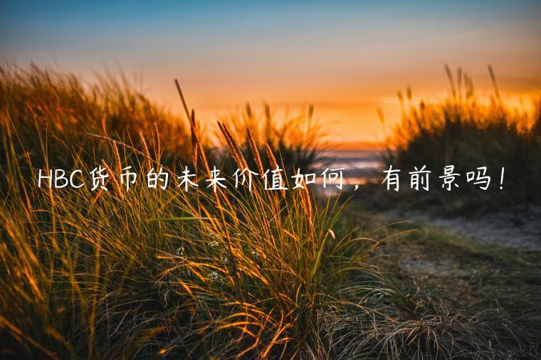 HBC货币的未来价值如何，有前景吗！-第1张图片-币安app下载