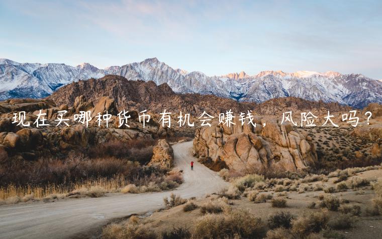 现在买哪种货币有机会赚钱，风险大吗？-第1张图片-币安app下载