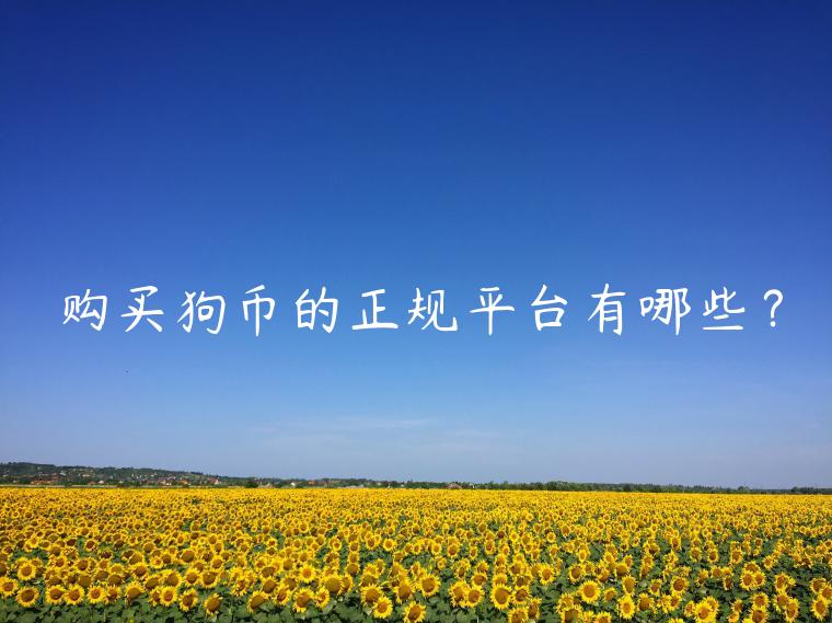 购买狗币的正规平台有哪些？-第1张图片-币安app下载