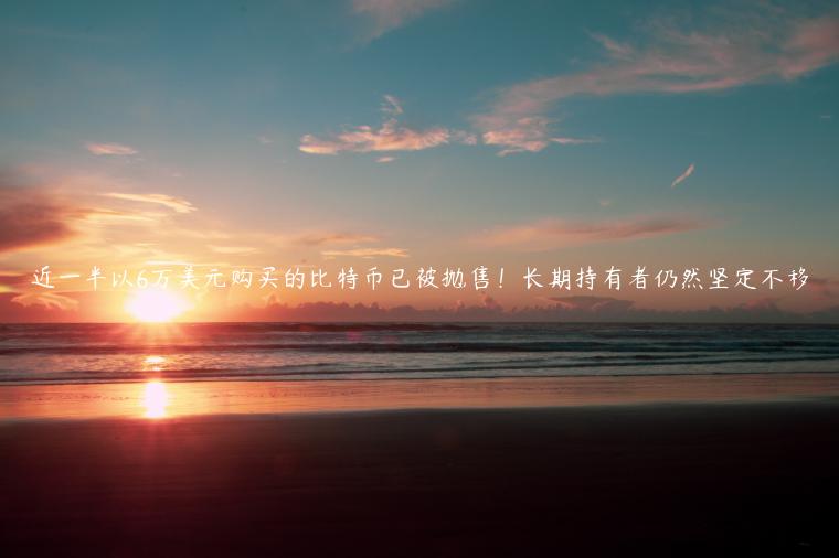近一半以6万美元购买的比特币已被抛售！长期持有者仍然坚定不移-第1张图片-币安app下载