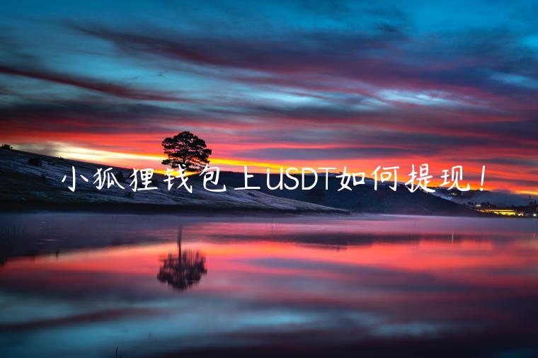小狐狸钱包上USDT如何提现！-第1张图片-币安app下载