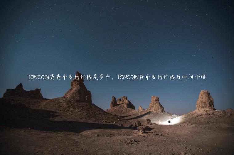 TONCOIN货货币发行价格是多少，TONCOIN货币发行价格及时间介绍-第1张图片-币安app下载